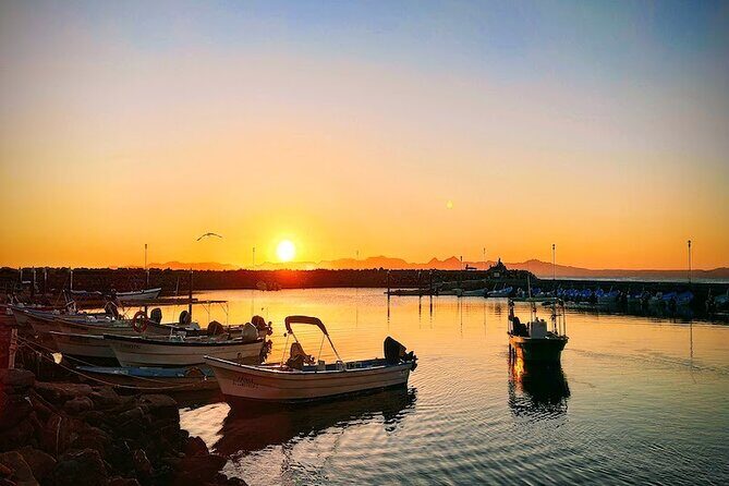 Whale Watching Adventure in Loretos Sea of Cortez - Practical Details