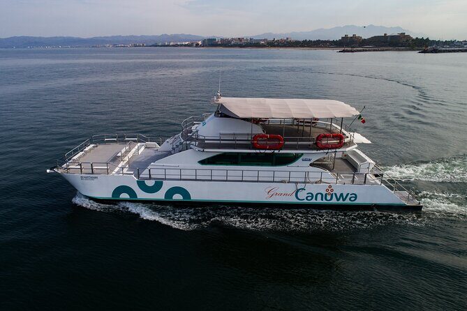 Whale Watching Adventure In Puerto Vallarta - What Travelers Say: Authentic Insights