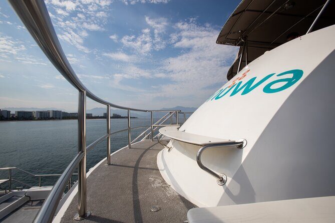 Whale Watching Adventure In Puerto Vallarta - Final Thoughts: Is It Worth It?