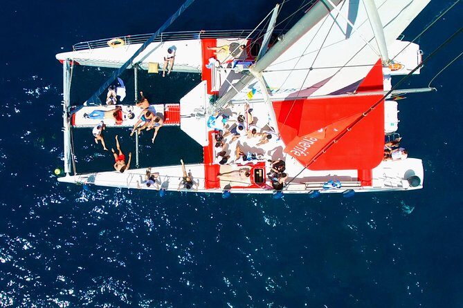 Whale watching and listening Eco-Catamaran Tour with Food Tasting - A Detailed Look at the Experience
