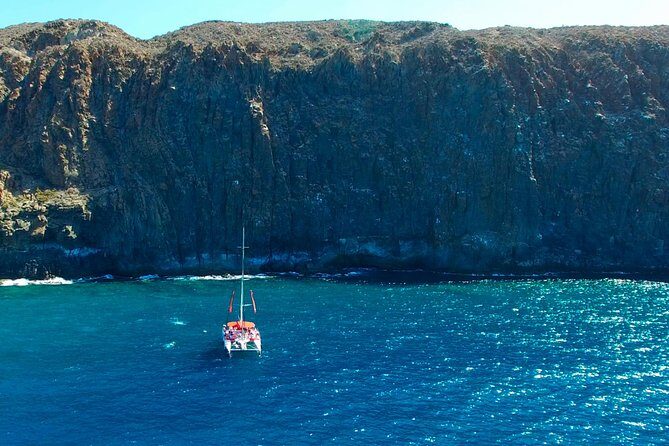 Whale watching and listening Eco-Catamaran Tour with Food Tasting - Frequently Asked Questions