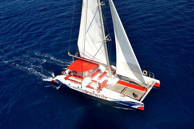 Whale Watching and Listening Eco Catamaran Tour with Food Tasting - An In-Depth Look at the Tenerife Whale Watching & Snorkeling Catamaran Experience