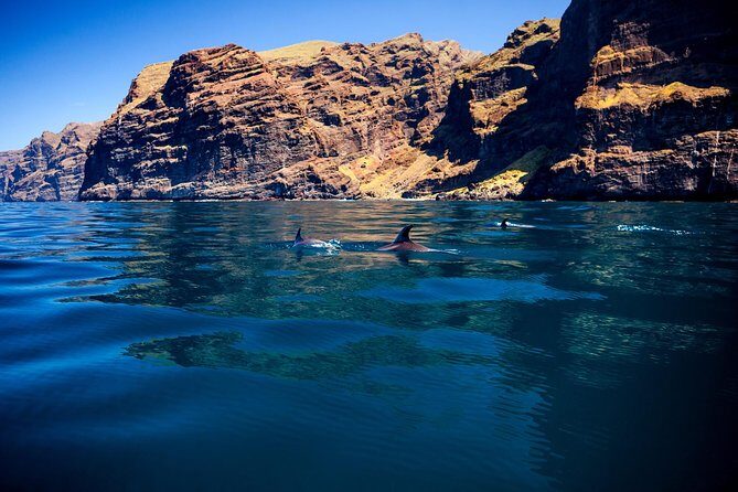 Whale Watching and Listening Eco Catamaran Tour with Food Tasting - FAQs