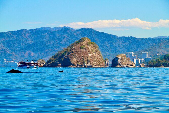 Whale Watching and Los Arcos 5 Islands Adventure - Key Points