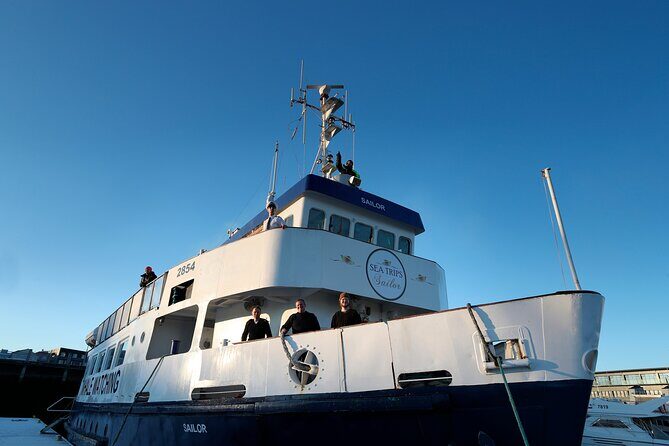 Whale Watching and Marine Life Tour in Reykjavik - Key Points