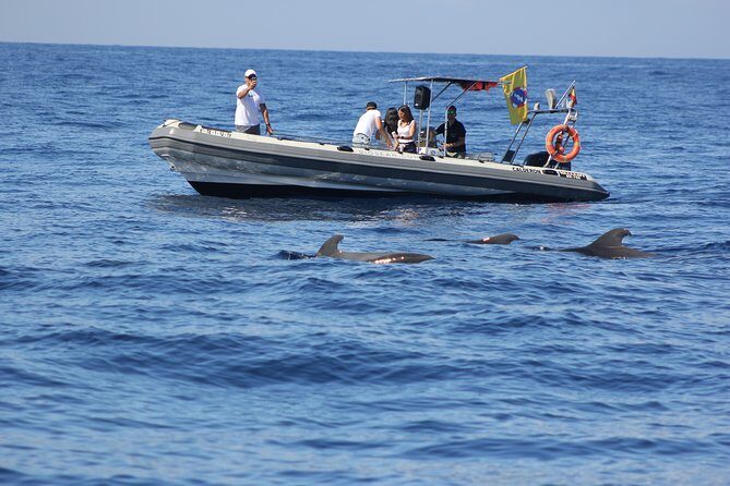 Whale Watching and Marine Science Tour - Why This Tour Stands Out
