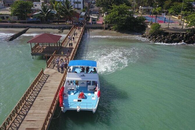 Whale watching and Montana Redonda - An In-Depth Look at the Experience