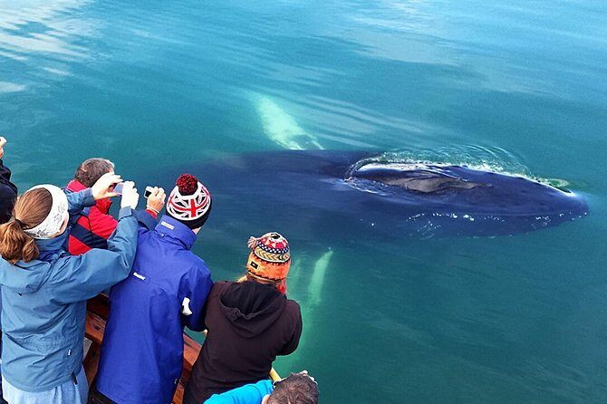 Whale Watching and Sea Angling Tour - FAQ