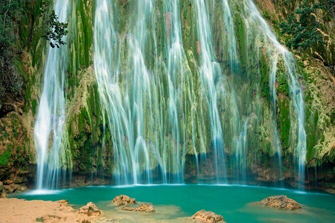 Whale Watching and Waterfalls in Samana Province - Whale Watching and the Samana Sanctuary