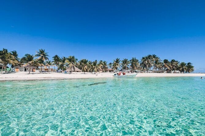 Whale Watching and Waterfalls in Samana Province - Frequently Asked Questions