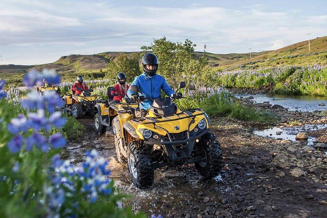 Whale Watching & ATV Adventure from Reykjavik - The Sum Up: Who Is This Tour For?