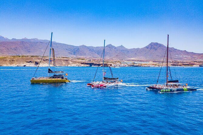 Whale Watching Catamaran in Costa Adeje (Including drinks & Sandwich) - FAQ