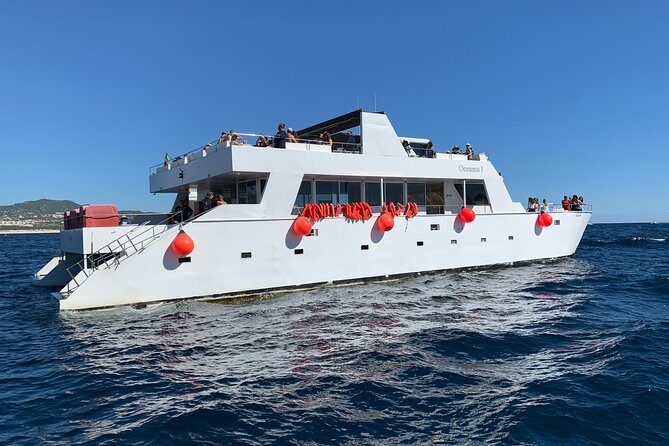 Whale Watching Cruise in Cabos San Lucas and Ground Transportation - Final Thoughts