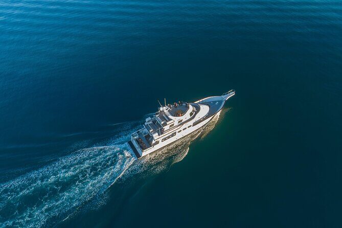 Whale Watching Cruise on a Yacht in Reykjavik - A Deep Dive into the Whale Watching Yacht Cruise