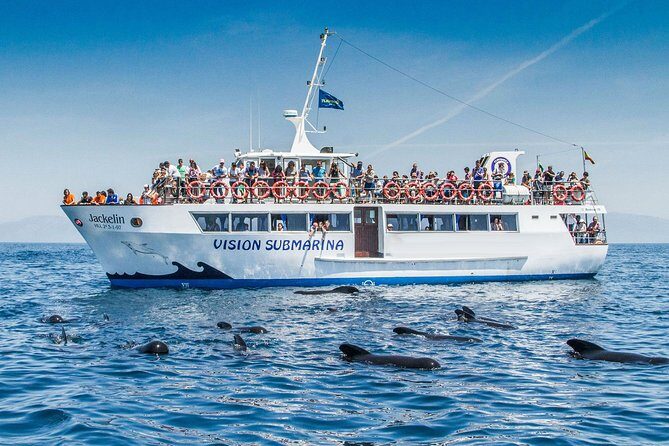 Whale Watching - In-Depth Review of the Whale Watching Experience in Tarifa