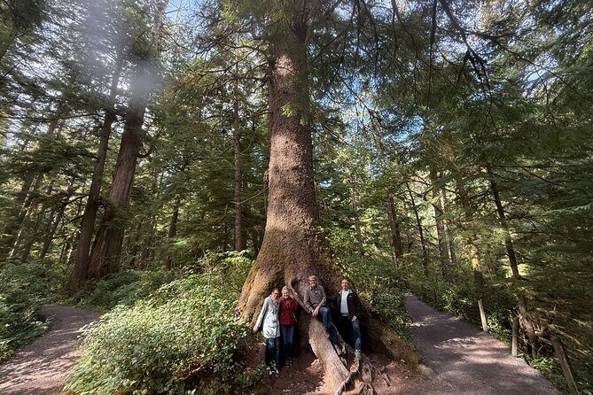 Whale Watching Depoe Bay Cannon Beach And Tillamook - Key Points