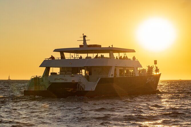 Whale Watching Dinner Cruise in Cabo San Lucas - An In-Depth Look at the Experience