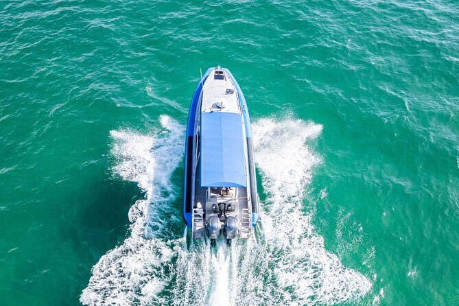 Whale Watching Discovery Tour from Lake Macquarie - Key Points