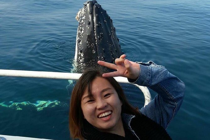 Whale Watching Dunsborough - Authentic Experiences and Real Traveler Feedback