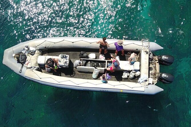 Whale Watching Expedition on Kauai - Authentic Experiences That Matter