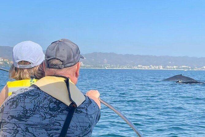 Whale Watching Experience in Puerto Vallarta - Setting the Scene: Banderas Bay’s Marine Sanctuary