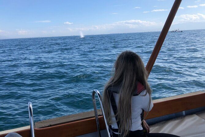 Whale Watching Experience in Puerto Vallarta - Listening to the Sounds of the Sea