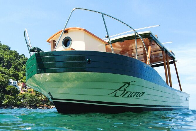 Whale Watching Experience in Puerto Vallarta - Who Will Love This Tour?