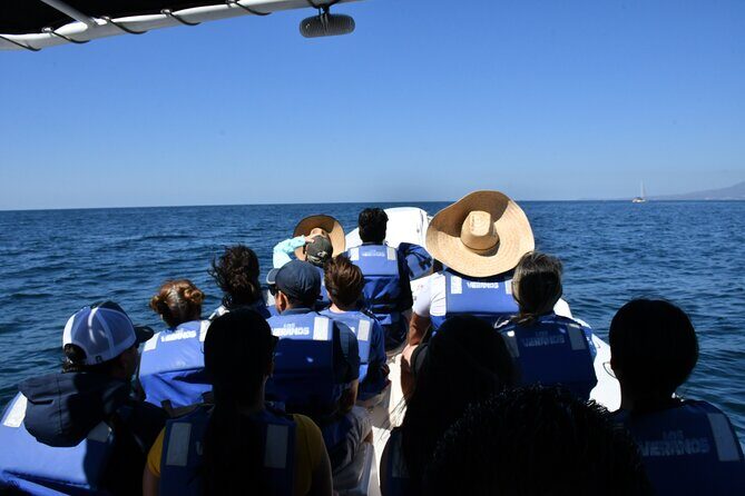 Whale Watching Guaranteed Experience in Puerto Vallarta - Final Thoughts