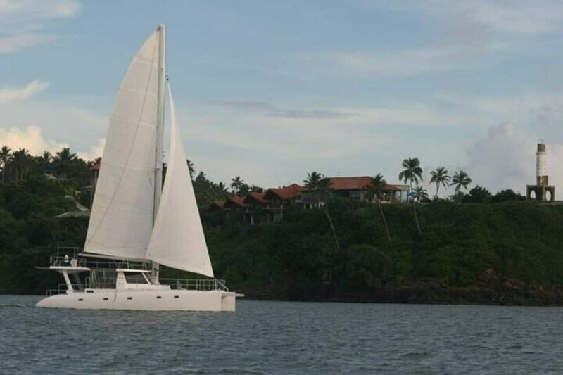 Whale Watching in a yacht in Trincomalee - Key Points