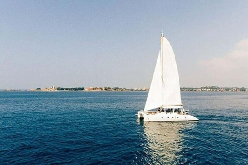 Whale Watching in a yacht in Trincomalee - In-Depth Review of the Whale Watching Yacht Tour in Trincomalee