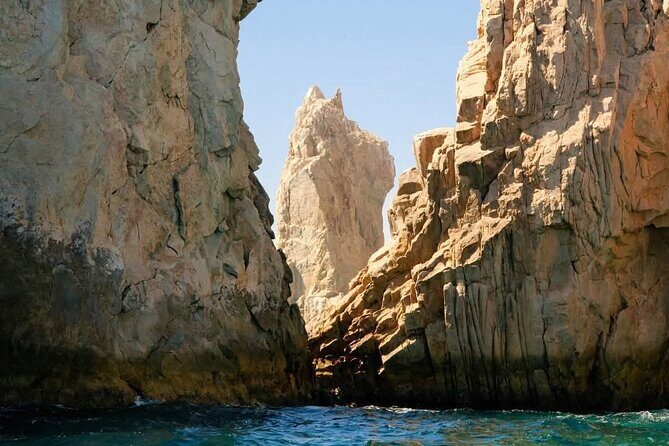 Whale Watching in Cabo San Lucas - Final Thoughts: Is It Worth It?