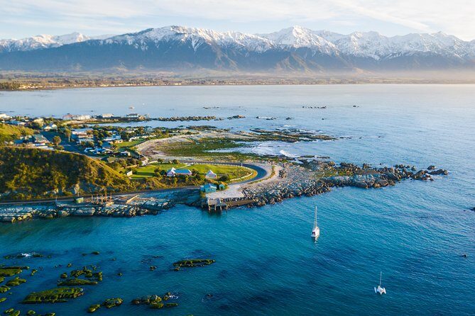 Whale Watching in Kaikoura by Boat - The Value of the Experience