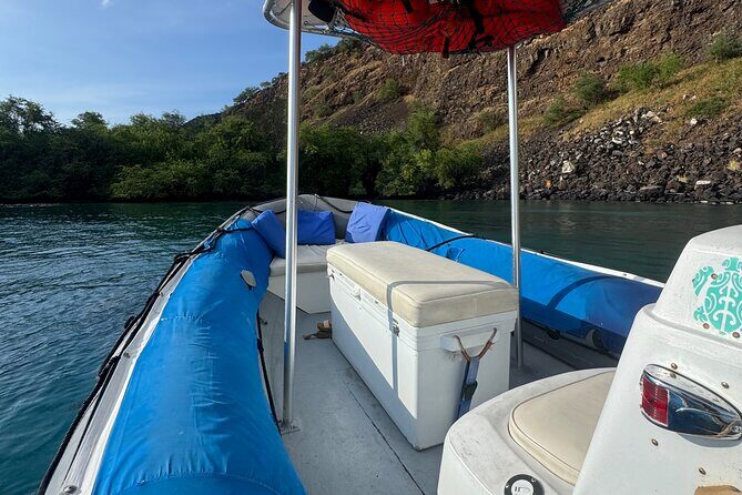 Whale Watching in Kona - Frequently Asked Questions