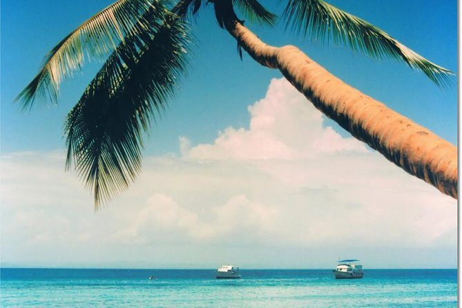 Whale Watching in Samana - Final Thoughts