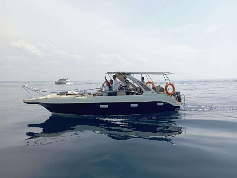 Whale Watching in Speed Boat in Mirissa - Whale Watching in Speed Boat in Mirissa: A Thrilling Marine Encounter