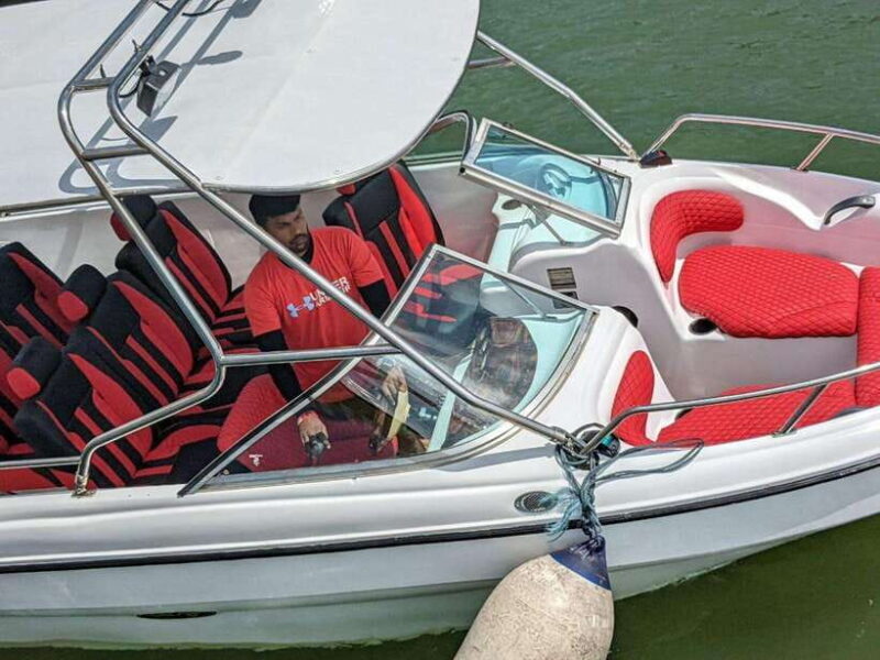 Whale Watching in Speed Boat in Mirissa - Key Points