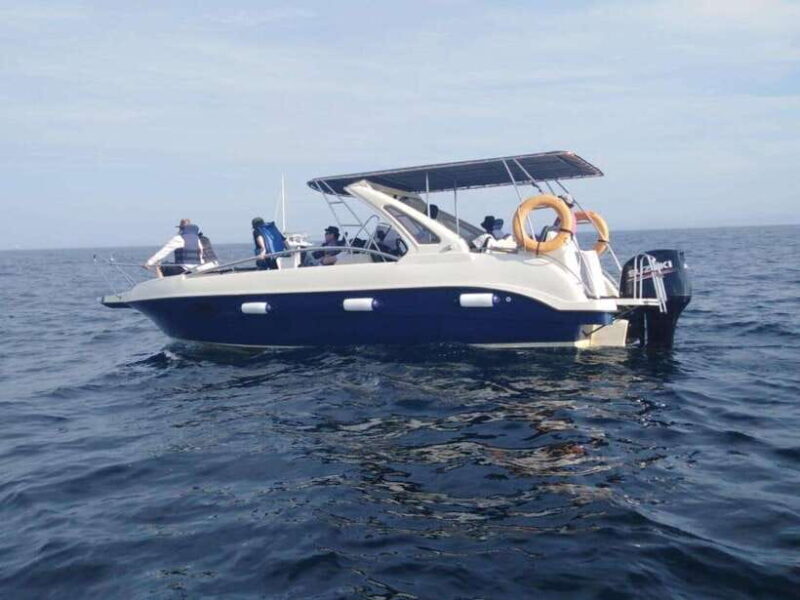 Whale Watching in Speed Boat in Mirissa - Breaking Down the Itinerary