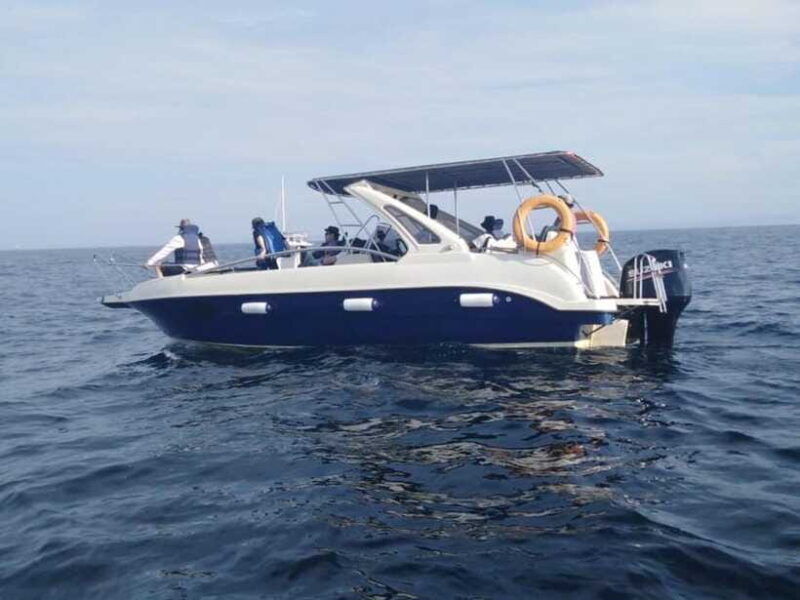 Whale Watching in Speed Boat in Mirissa - Final Thoughts