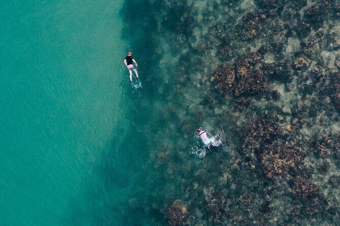 Whale Watching in Trincomalee by Catamaran cruise - A Practical Overview of the Catamaran Whale Watching Experience