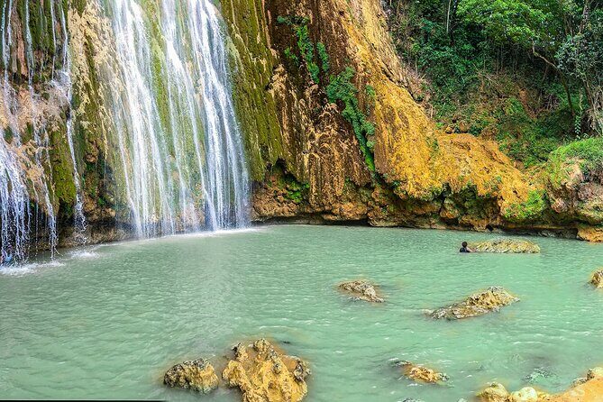 Whale Watching & Limón Waterfall Day Trip - Who Should Consider This Tour?