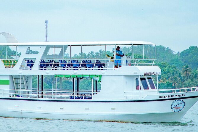 Whale Watching Mirissa in Sri Lanka with Pickup and Breakfast - Discover the Marine Marvels of Mirissa: Whale Watching with Breakfast and Pickup