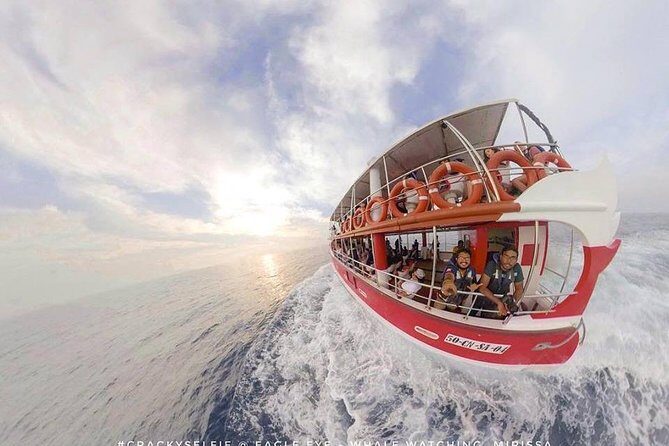 Whale Watching Mirissa with Eagle Eye - Final Thoughts: Is This the Tour for You?