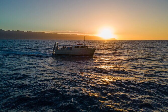 Whale Watching on "The World Famous North Shore of Oahu", Hawaii - A Close-Up Look at Whale Watching on Hawaii’s North Shore