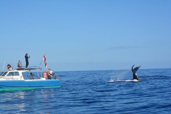 Whale Watching on "The World Famous North Shore of Oahu", Hawaii - Key Points
