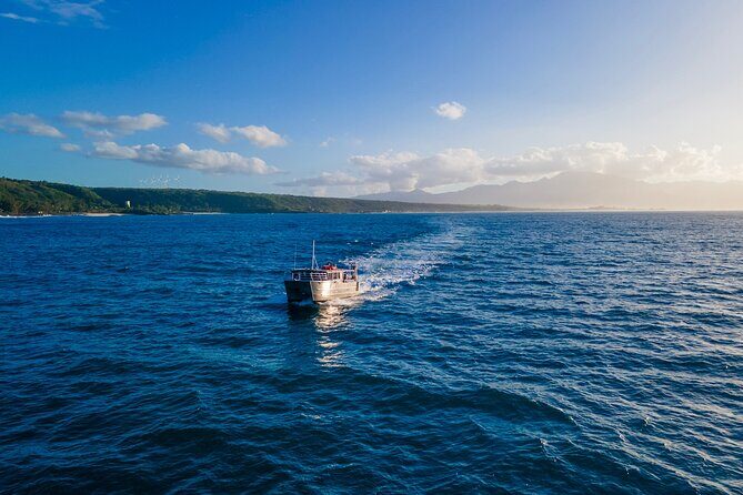 Whale Watching on "The World Famous North Shore of Oahu", Hawaii - Final Thoughts