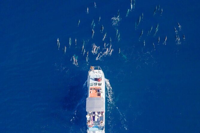 Whale Watching on "The World Famous North Shore of Oahu", Hawaii - FAQs