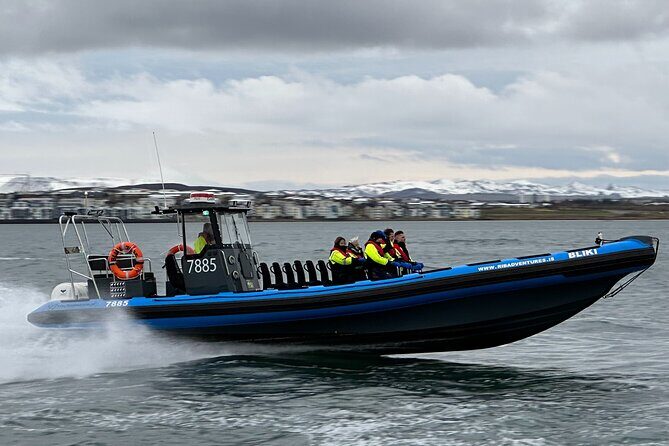 Whale Watching - RIB Boat Adventure in Kopavogur, Iceland - The Journey to the Whales: How It Works