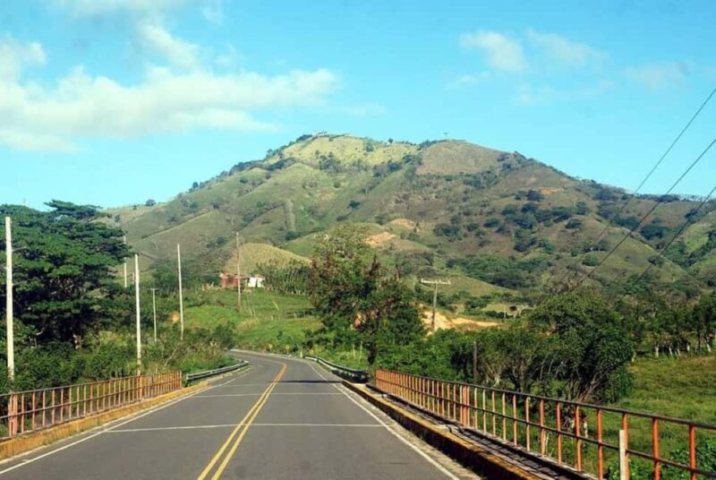 Whale Watching & Safari Tour to Montaña Redonda - Who Is This Tour Best For?