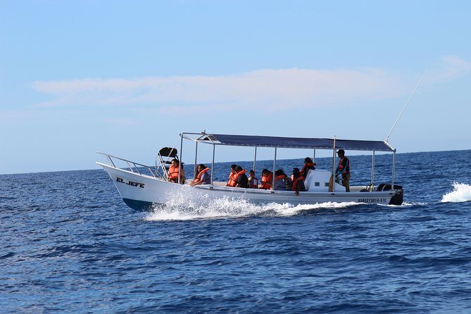 Whale Watching Shared Tour - Practical Tips for Travelers