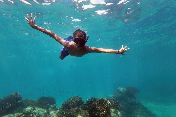 Whale Watching & Snorkeling Combo in Los Cabos with Photos Included - Key Points